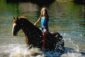 Reiten